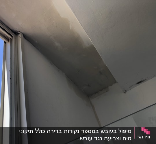 תקרה עם סימני רטיבות והתקלפות צבע
